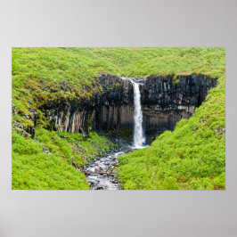 Svartifoss Waterfall i Skaftafell - Island Poster