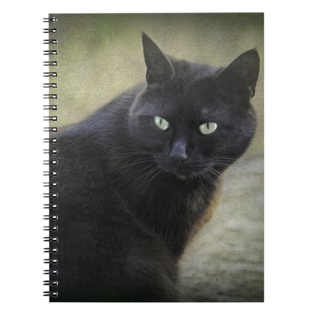 Svartkatt med grönt ögon anteckningsbok med spiral (Framsidan)