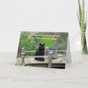 Svartkatt som väntar på Bridge Påsk-kort Helgkort