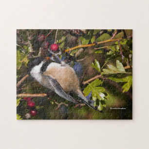Svartklädd Chickadee Enjoying Autumn Berries Pussel