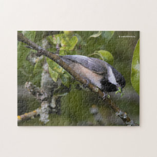 Svartklädd Chickadee med Mouthful of Mask Pussel