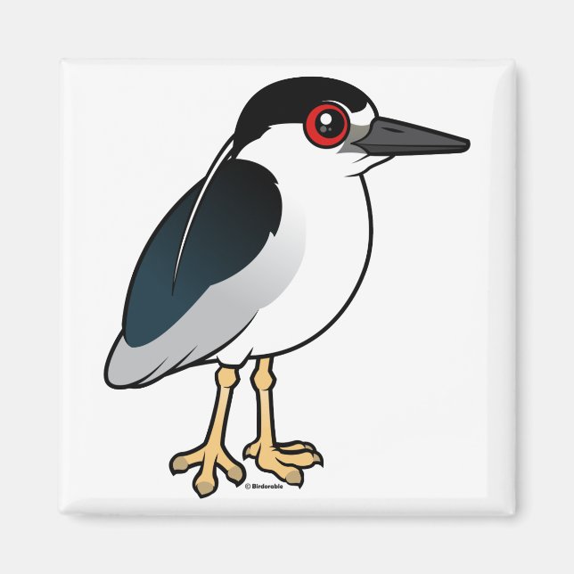 Svartkrökt nattöron magnet (Framsidan)