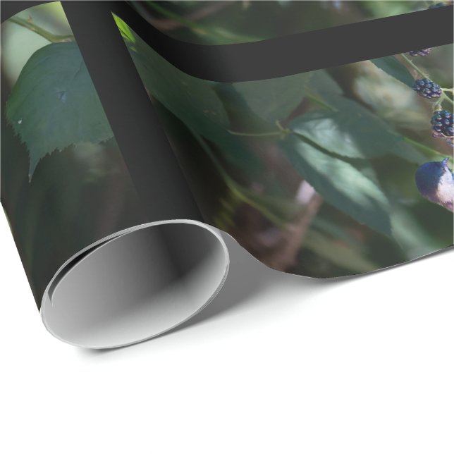 Svartkronad chickadepa-pappersrulle presentpapper (Rullad Hörn)