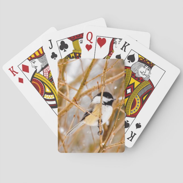Svartkronad mes - Originalfotografi Casinokort (Baksidan)