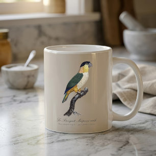 Svartkronad papegoja, Pionites melanocephalus Kaffemugg