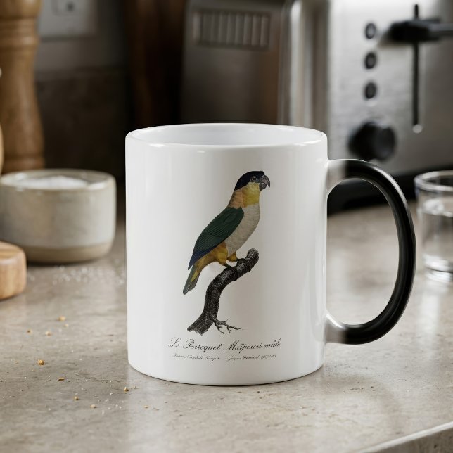 Svartkronad papegoja, Pionites melanocephalus Magisk Mugg (Black-Headed Male Parrot, Pionites Melanocephalus. Color Morph Mug)