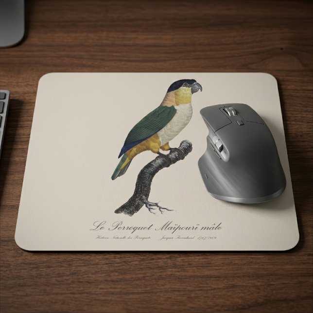 Svartkronad papegoja, Pionites melanocephalus Musmatta (Black-Headed Male Parrot, Pionites Melanocephalus. Mouse Pad)