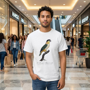 Svartkronad papegoja, Pionites melanocephalus T Shirt