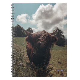 Svartland Skotska vintagar för bete av koma Anteckningsbok