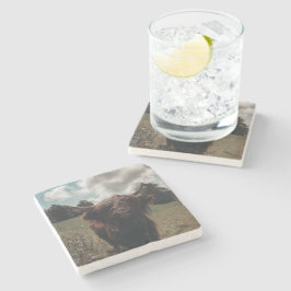 Svartland Skotska vintagar för bete av koma Stenunderlägg