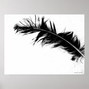 Svartludd Poster