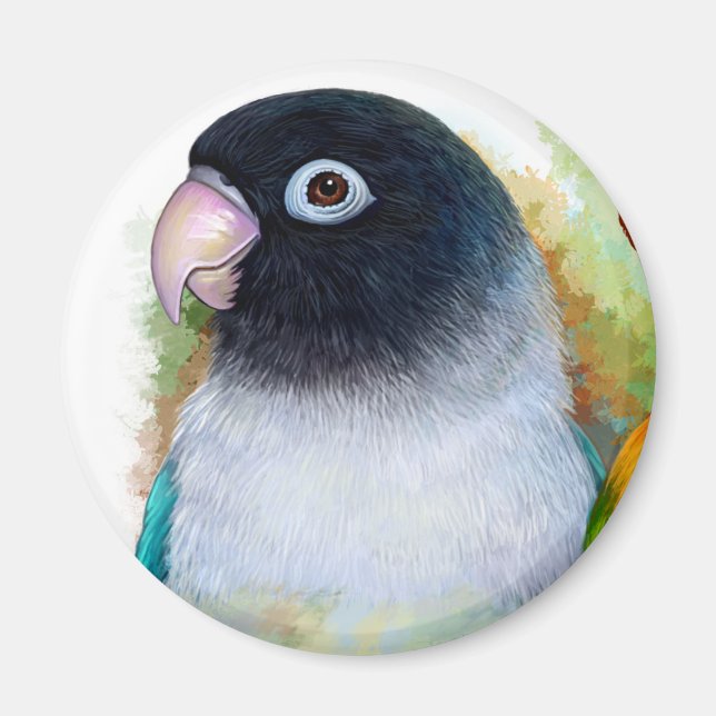 Svartmaskad fågel magnet (Framsidan)