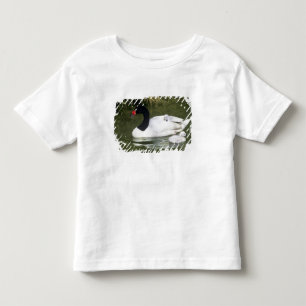 Svartnäcksvans vuxen och ungar i vatten. t shirt