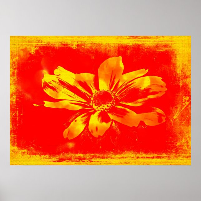 Svartögd Susanne Vildblomma - Digital konst Poster (Framsidan)
