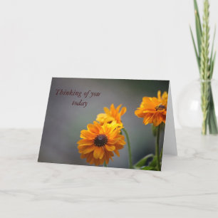 Svartögda, sudanblommor, gratulationskort kort