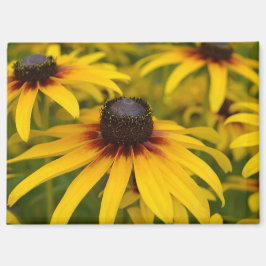 Svartögda Susan Blommor Magnet