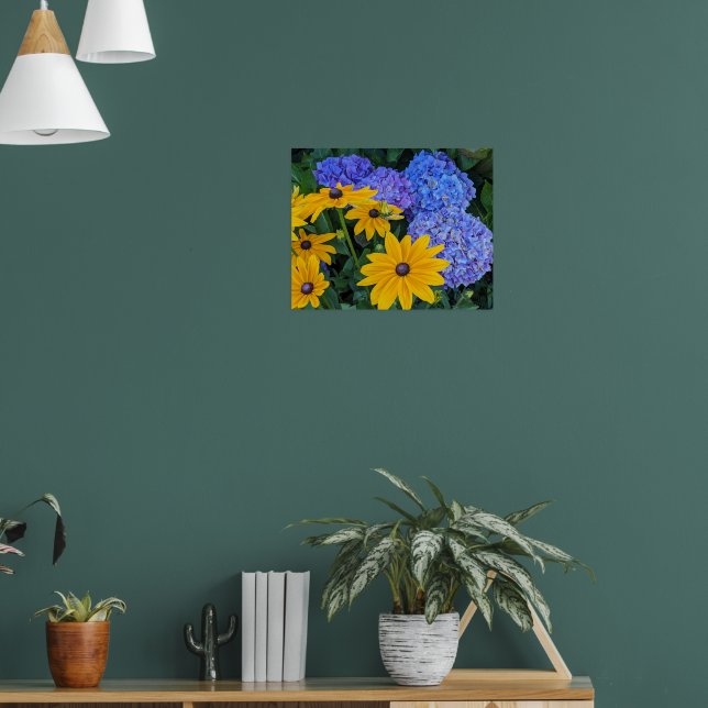 Svartögda Susan och Blå Hydrangea Blomma Poster (Vardagsrum 1)