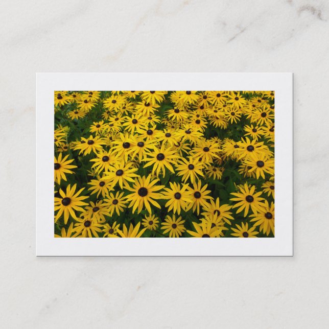 Svartögda Susans (Rudbeckia Hirta) (Borderade) Visitkort (Framsida)