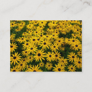 Svartögda Susans (Rudbeckia Hirta) Visitkort