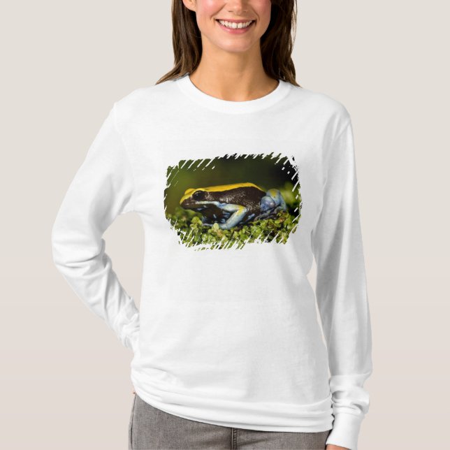 Svartörad Mantella, Mantella expectata, Tee Shirt (Framsida)