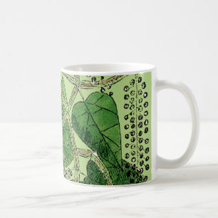 Svartpepparväxt, 1578 kaffemugg