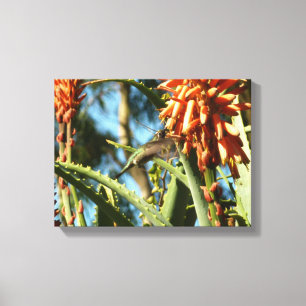 Svartsinnig Hummingbird under Flight Canvastryck
