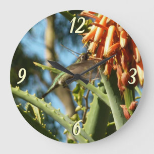 Svartsinnig Hummingbird under Flight Stor Klocka