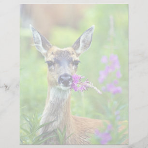 Svartskalig Hjort med Fireweed