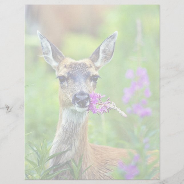 Svartskalig Hjort med Fireweed (Framsida)