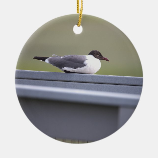 Svartskalle Gull Ornament (Framsidan)