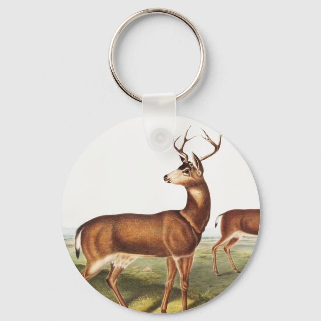 Svartstjärtad Hjort (Cervus Richardsonii) Nyckelring (Framsida)