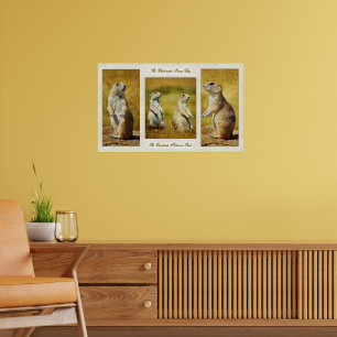 Svartstjärtad Prairie Hund Poster