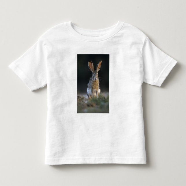 Svartstjärtkanin, Lepus californicus, 2 T Shirt (Framsida)