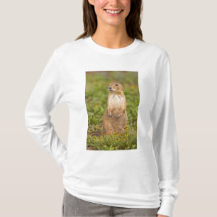 Svartsvansad präriehund Cynomys Tee Shirt