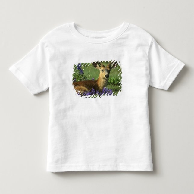 Svartsvanshjort, Odocoileus hemionus T-shirt (Framsida)