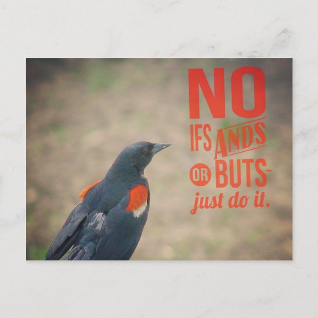 Svarttrostuppmuntran Vykort (Framsida)