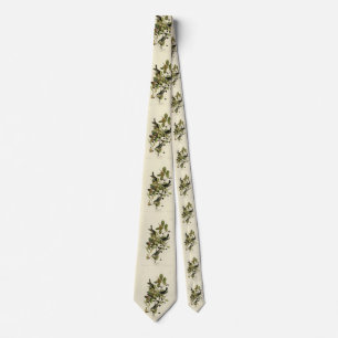 Svartvalsare från Audubon's Birds of America Slips