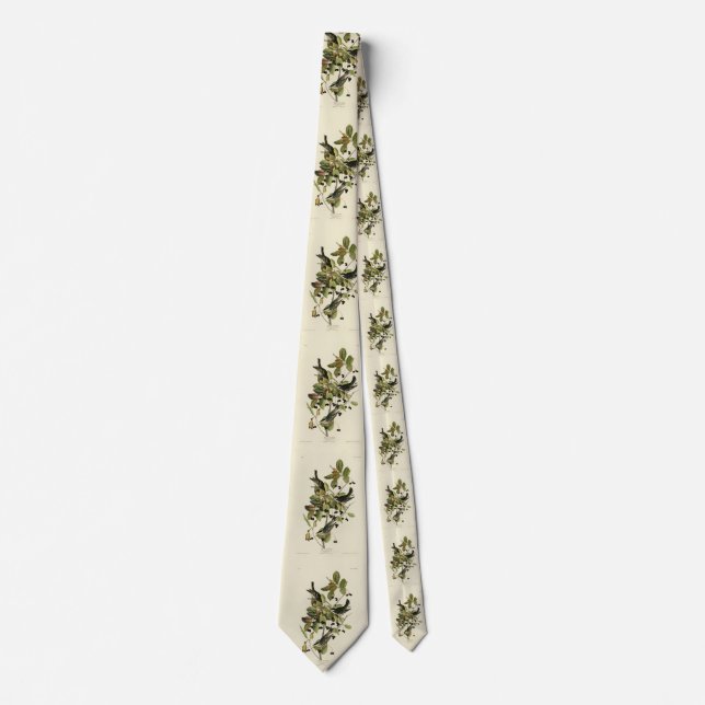 Svartvalsare från Audubon's Birds of America Slips (Framsida)