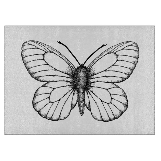 Svartvind vit fjäril (Framsidan)