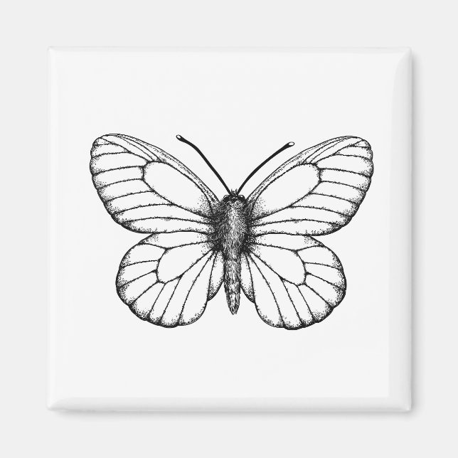 Svartvind vit fjäril magnet (Framsidan)