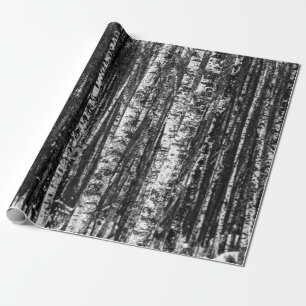 Svartvit abstrakt björkskog presentpapper