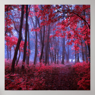 Svartvit. Abstraktens målningsbakgrund. Acr Poster