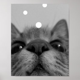 Svartvit Ansikte-vykort för katt Poster