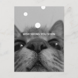 Svartvit Ansikte-vykort för katt Vykort