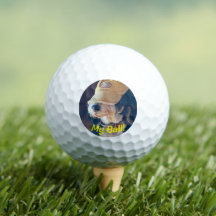 Svartvit Bernedoodle-hund i gult golfhatt.