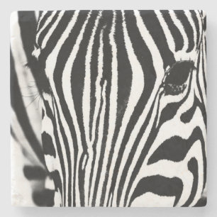 Svartvit bild av Zebra porträtt Stenunderlägg
