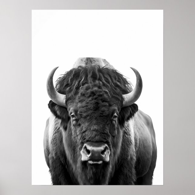 Svartvit Bison Buffalo Modern Porträtt Poster (Framsidan)