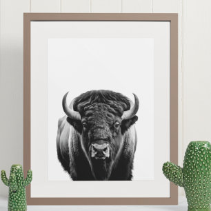 Svartvit Bison Buffalo Modern Porträtt Poster