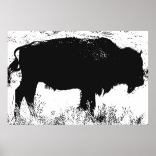 Svartvit Bison Buffalo Pop Art Poster