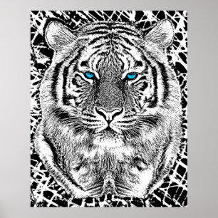 Svartvit blått synar den grafiska tigern poster